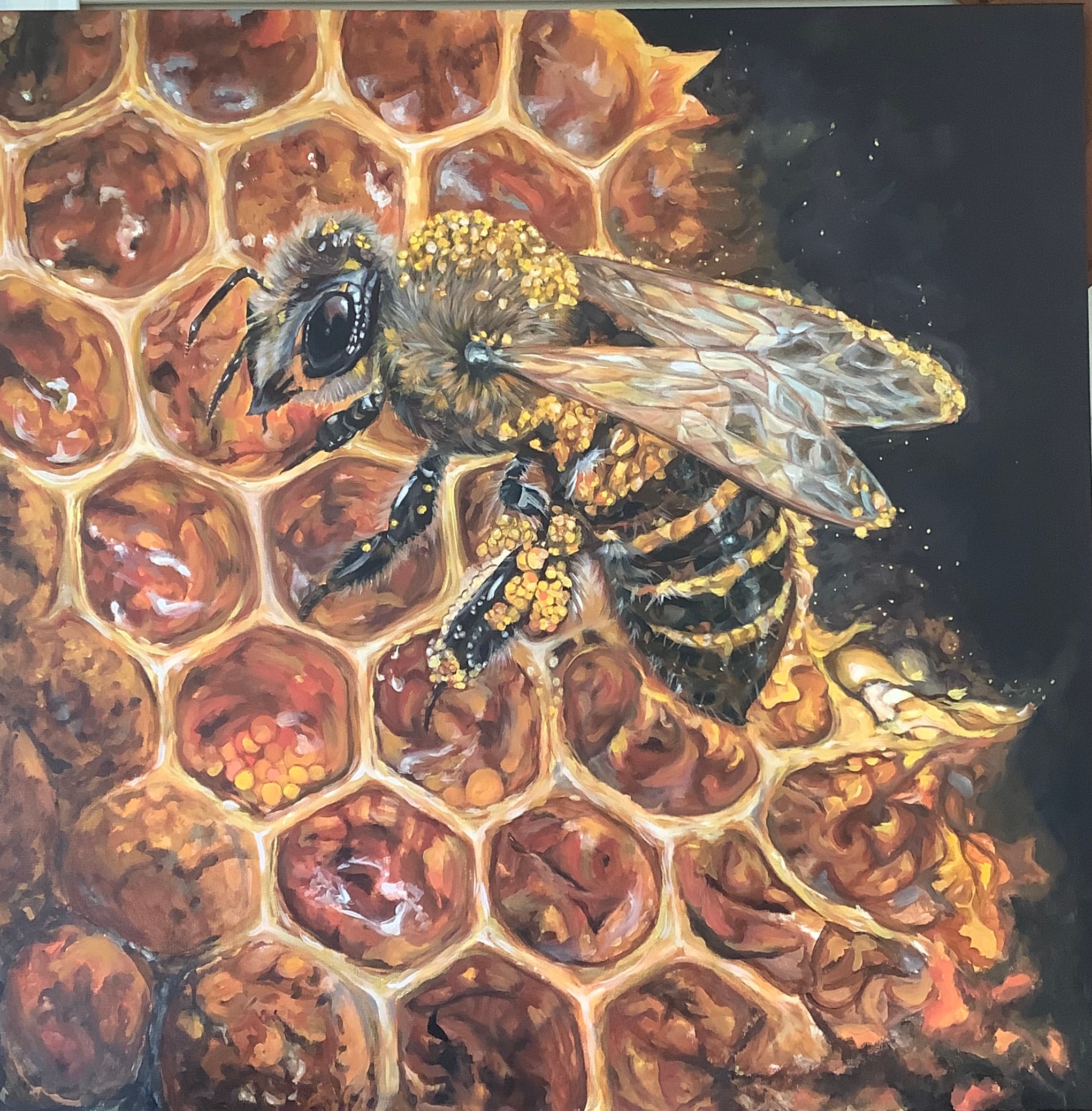 Honey Bee